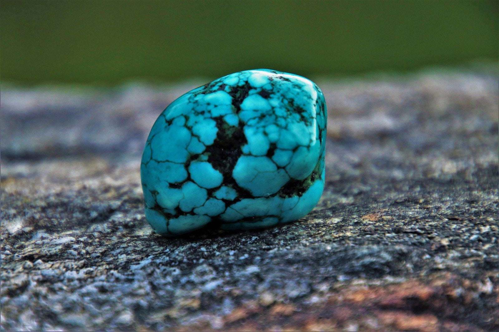 December Birthstone - Turquoise - Celeste Jewel
