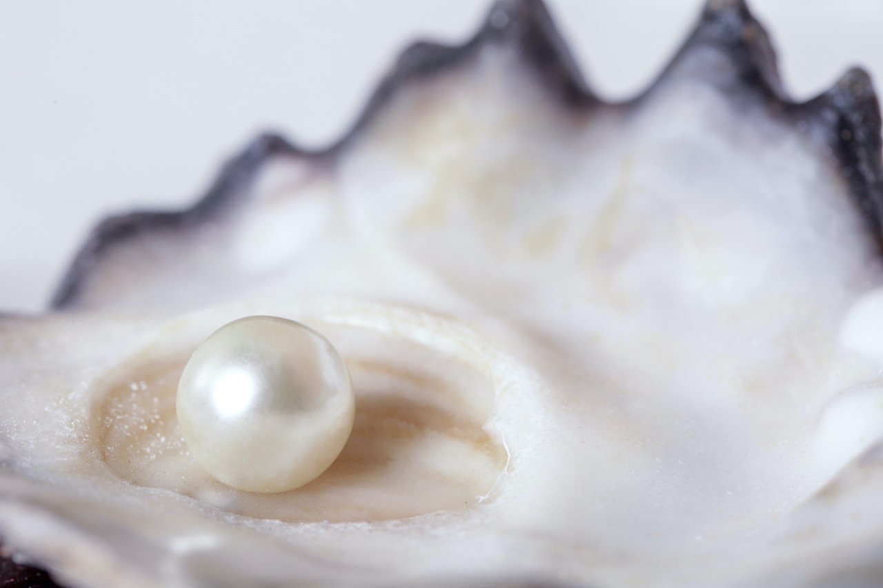 June Birthstone - Pearl - Celeste Jewel
