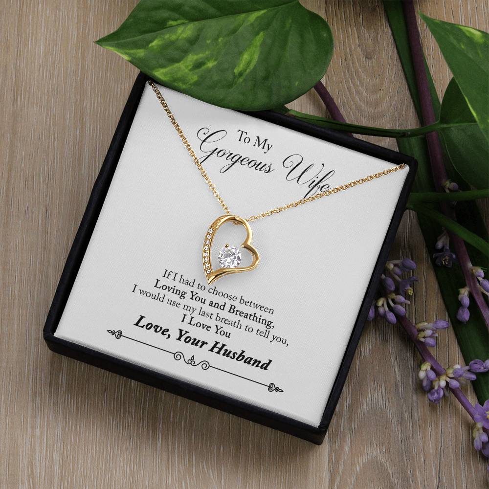 To My Gorgeous Wife | Last Breath | Eternal Love Necklace