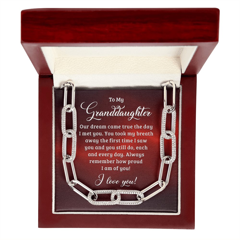To My Granddaughter - Our Dream - Forever Linked Necklace - Celeste Jewel